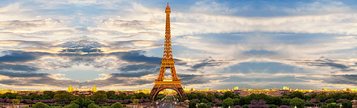 Area Code: 01 (+331) - Paris, France