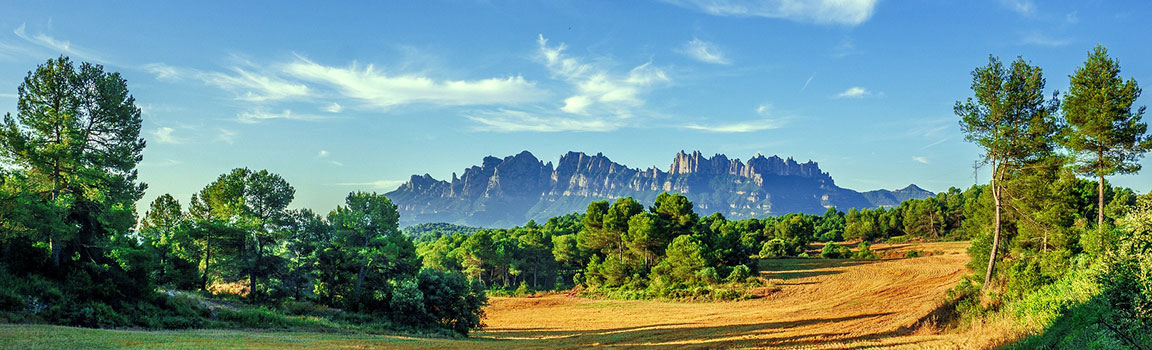 Area Code: 664 (+1664) - Plymouth, Montserrat