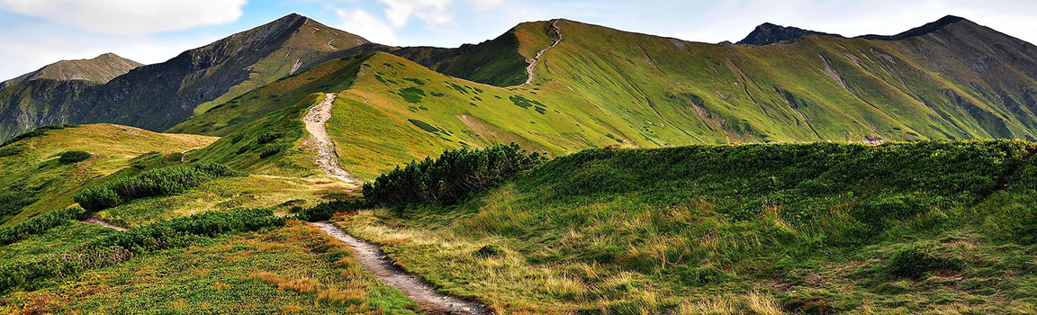 Area Code: +4860 - 3975620 Poland