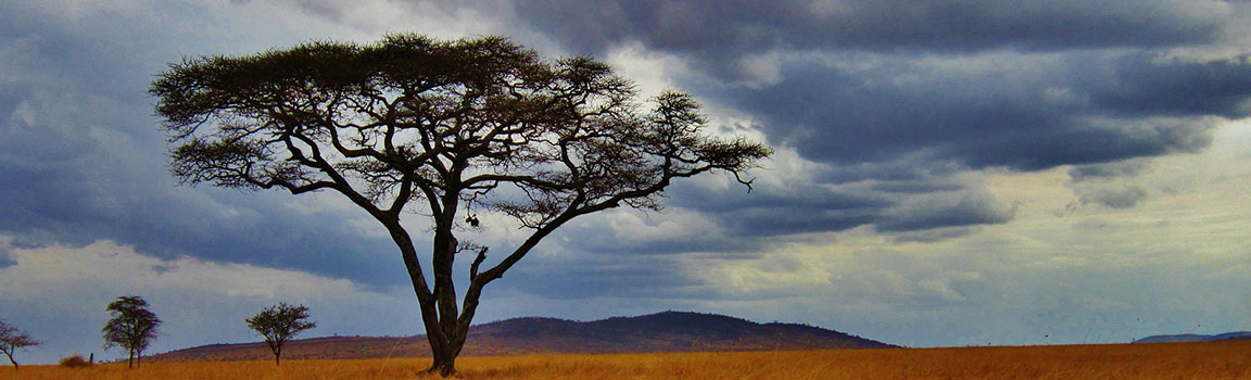 Area Code: 076 (+25576) -  Tanzania