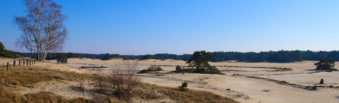 Area Code: 0341 (+31341) - Harderwijk, Netherlands