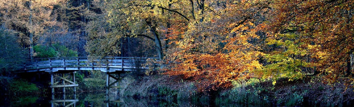 Area Code: 035 (+3135) - Hilversum, Netherlands